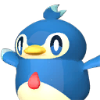 Pengullet Pal portrait
